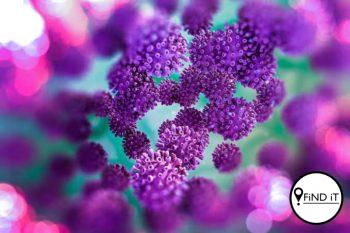 Nuutste Covid-19-syfers in SA (Foto: New Scientist)