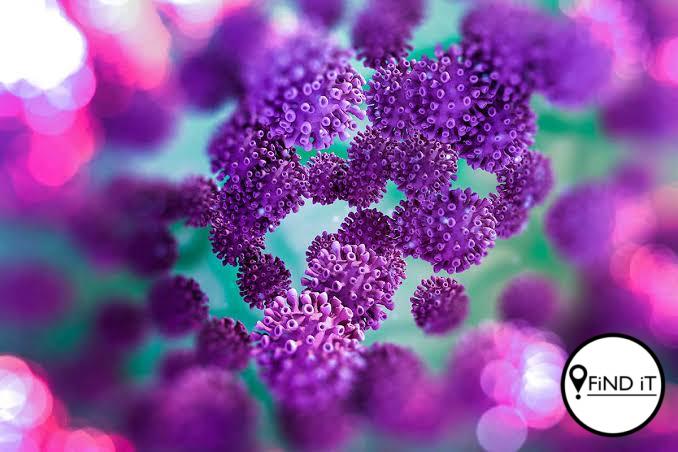 Nuutste Covid-19-syfers in SA (Foto: New Scientist)