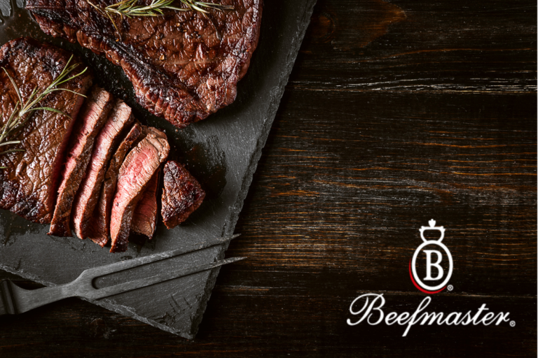 Beefmaster