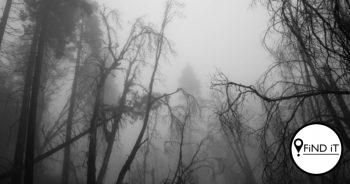 Spookstorie-reeks: Oë wat vir my kyk