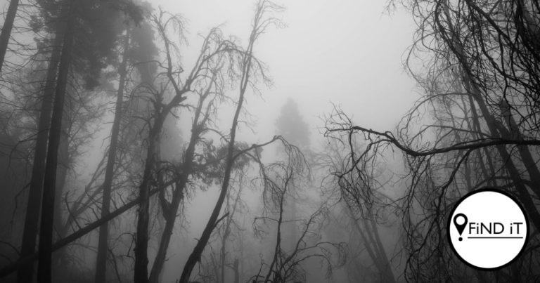 Spookstorie-reeks: Oë wat vir my kyk