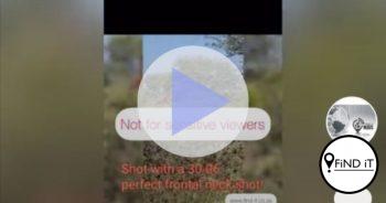 KYK: Video waar vrou kameelperd skiet