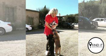 Lady Gaga se honde gevind