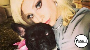 gaga