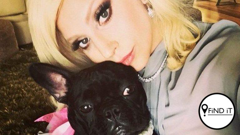 gaga
