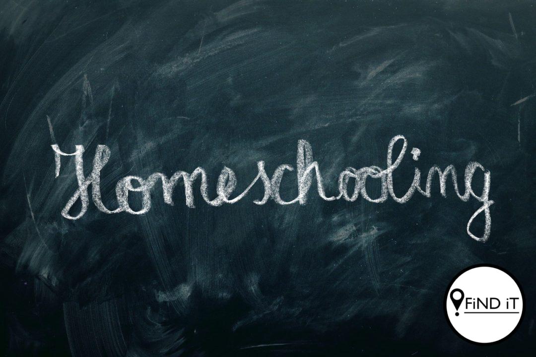 Terwyl die skole in Suid-Afrika vandag heropen, kyk ons na bekendes en hul ervaring met tuisonderrig.