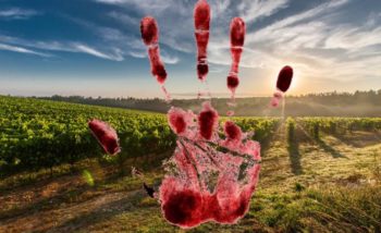 ’n Boer (70) se liggaam is Maandag op sy plaas in Ogies gevind waar hy met nylontou aan sy voertuig vasgebind was. (Foto: Food for Mzansi)