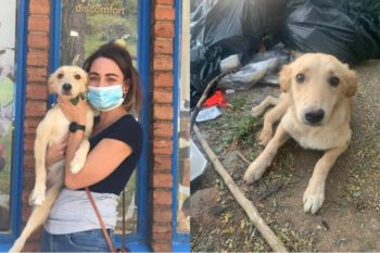 Kiara by haar nuwe eienaares. (Foto: Bloemfontein SPCA, Facebook)