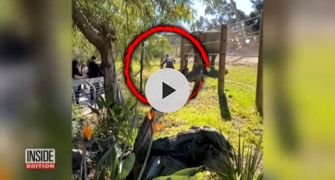 Pa laat val dogtertjie (2) toe hy vir olifant weghardloop (Foto: Skermgreep uit die video)