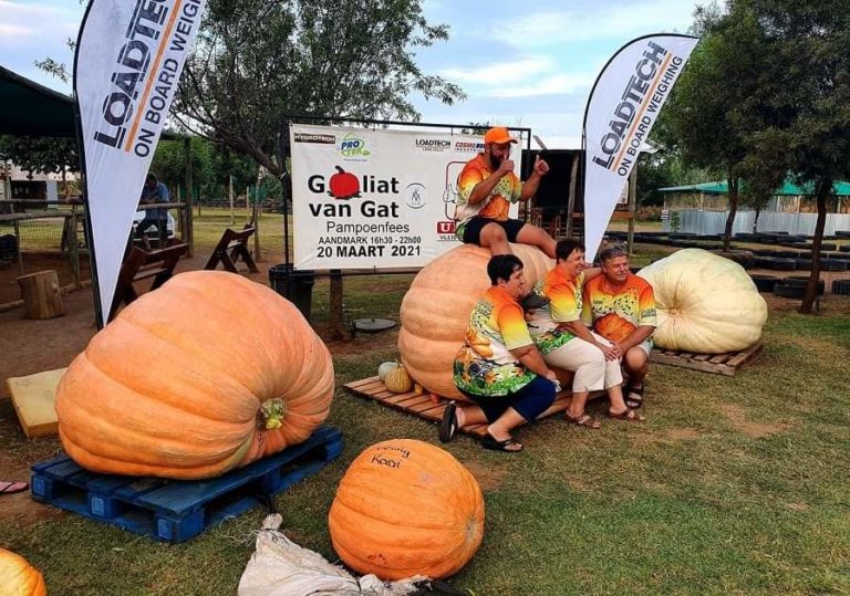 Na wat berig word, is Johanna 226 kg swaarder as die vorige rekordpampoen wat 563 kg geweeg het. (Foto: Facebook)