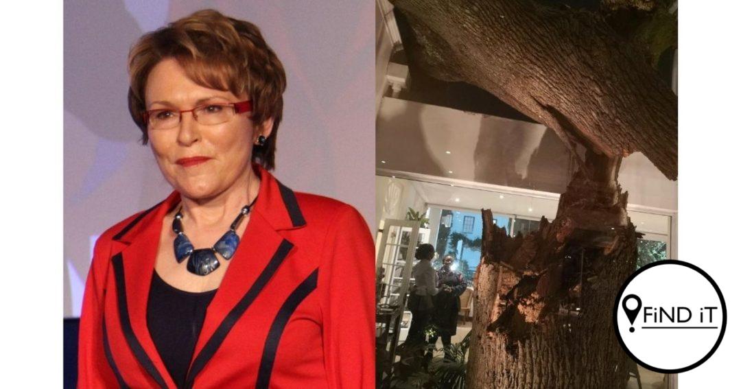 Helen Zille: Noue ontkoming toe boom neerstort tydens verjaarsdagviering