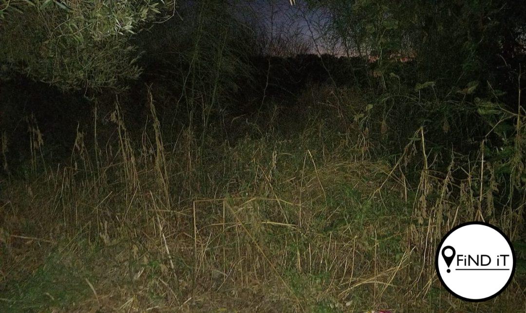 Veld by Noord-Kaap raak probleem vir inwoners