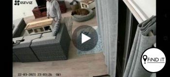 KYK: Video waarin 'honde-oppassers' hond glo aanrand veroorsaak oproering