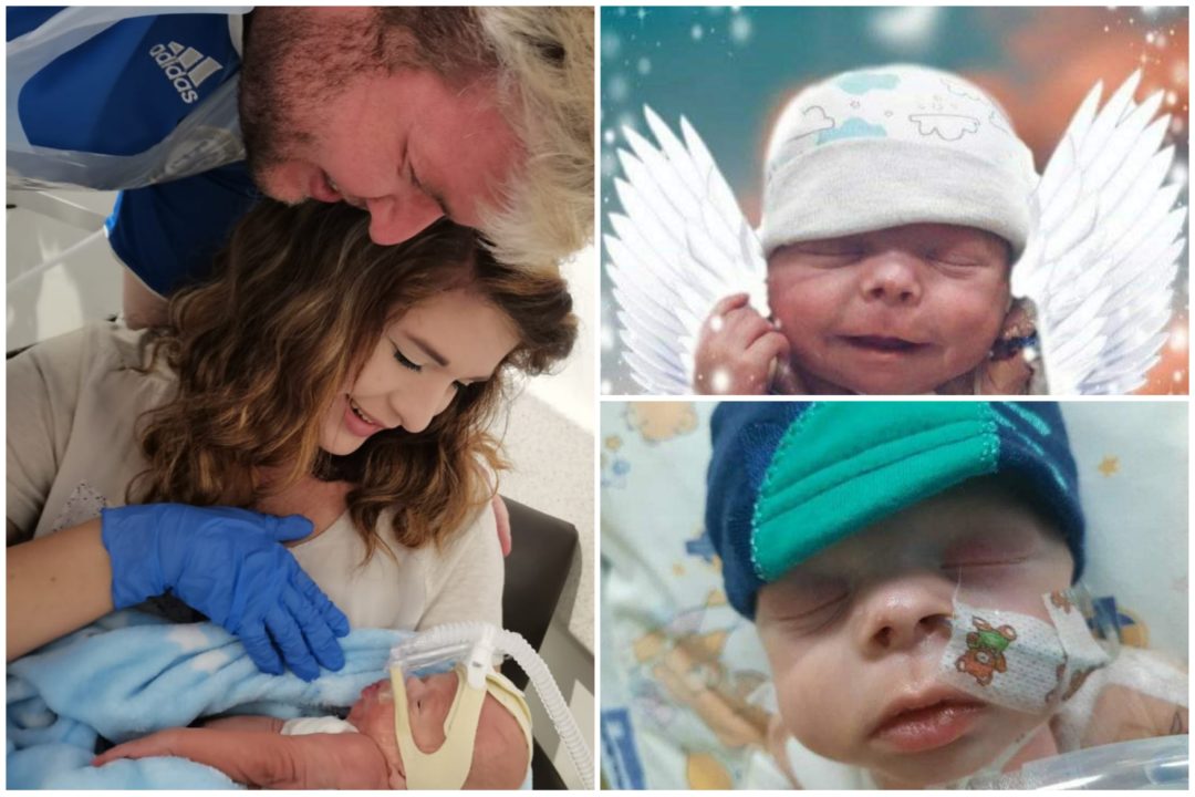 Klein vegtertjie hemel toe na 142 dae in hospitaal (Foto's: Verskaf)