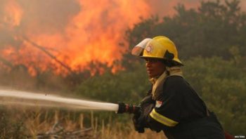 Tafelberg-brand: Een verdagte vas oor 'brandstigting' (Foto: Reuters)