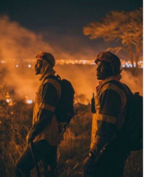 Man wat glo Tafelberg-brand begin, in hof (Foto: SANParks - Table Mountain National Park, Facebook)Tafelberg-brande: 600 hektaar vernietig (Foto: SANParks - Table Mountain National Park, Facebook)