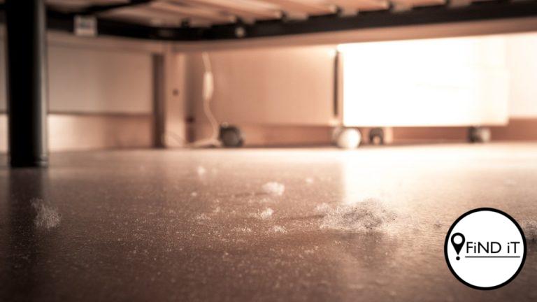 Man (37) se meisie (15) se liggaam glo onder sy bed begrawe