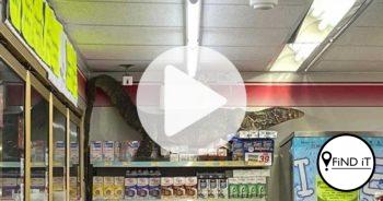 Reuse akkedis maak amok in supermark