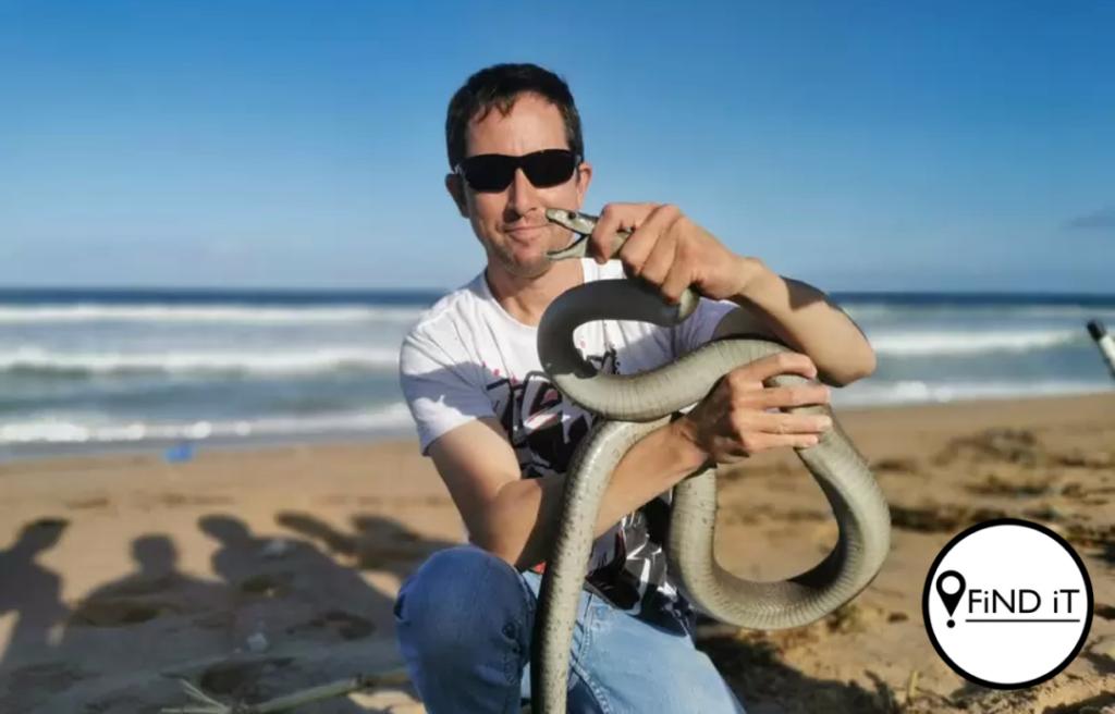 Swart mamba beland op een van Durban se strande