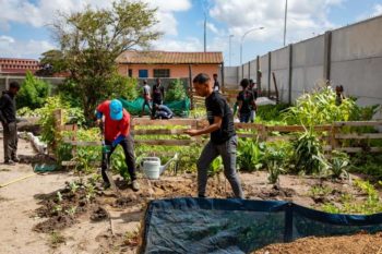 Groentetuin hou jong mans 'weg van misdaad en dwelms' (Foto: SABC News Western Cape, Facebook)