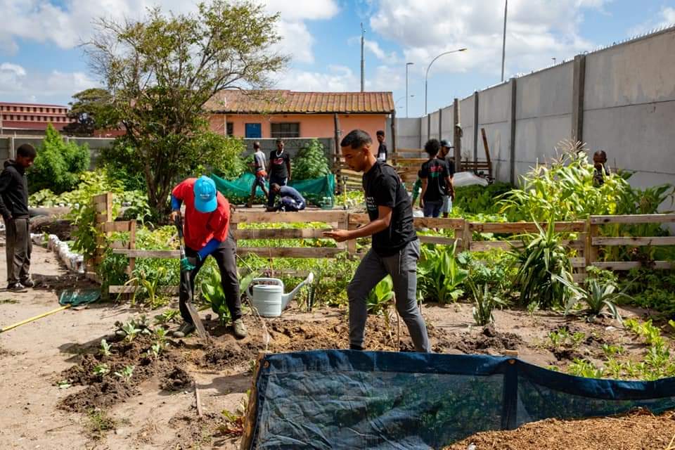 Groentetuin hou jong mans 'weg van misdaad en dwelms' (Foto: SABC News Western Cape, Facebook)
