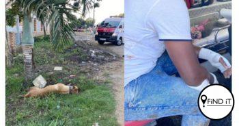 Hond glo geskiet na hy man (31) en dogter (3) aanval