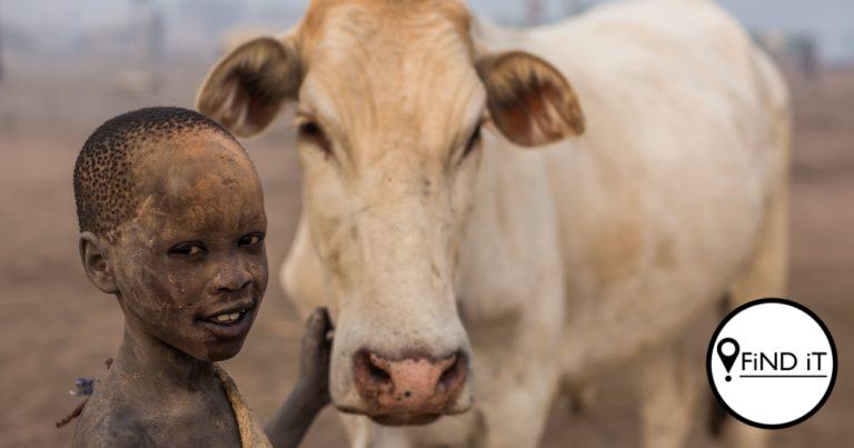 Their whole life revolves around their cattle. They use them as mediums to contact the god Ngun.