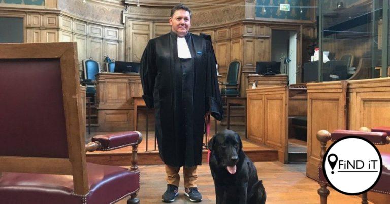 Hond help om slagoffers in hof rustig te maak