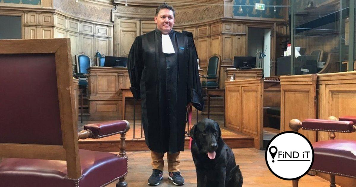 Hond help om slagoffers in hof rustig te maak