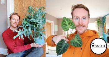 A house plant enthusiast has a collection worth over £10,000