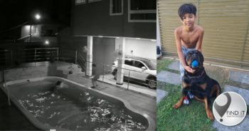 Boy save his Rottweiler from drowning by pushing him to the poolside