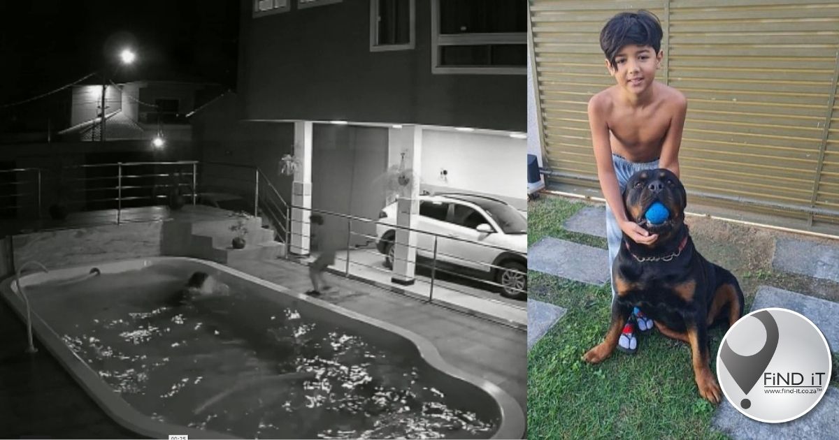 Boy save his Rottweiler from drowning by pushing him to the poolside