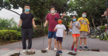 Seafood restaurant staff take crabs for walks to keep meat in top shape