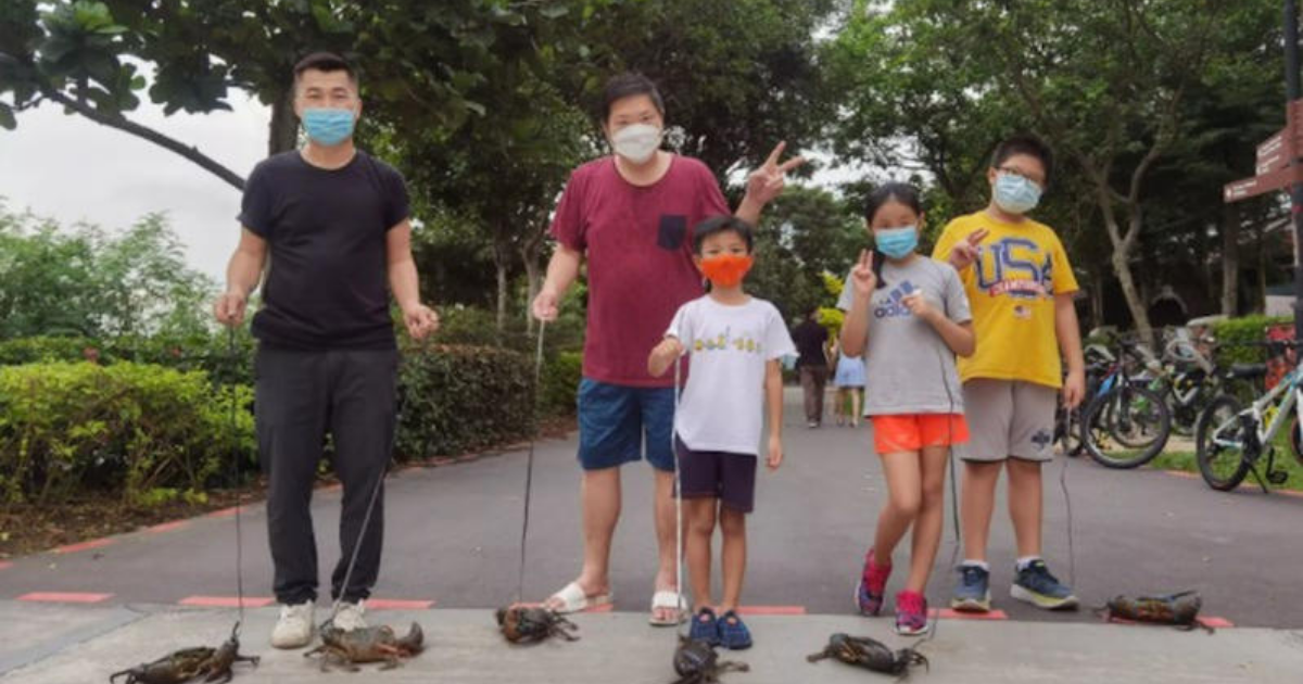 Seafood restaurant staff take crabs for walks to keep meat in top shape