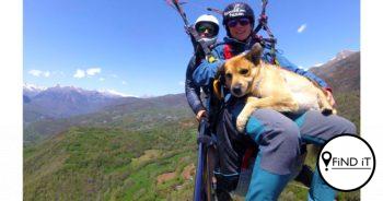 "The problem I have is that I really don't want to leave him alone at home so me and my wife decided that when we go paragliding, he has to come with us.