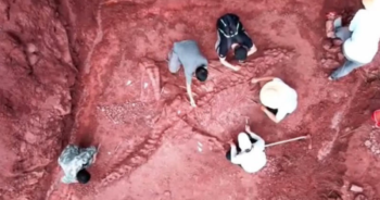 Nearly Intact 180 Million Year Old Jurassic Dinosaur Discovered In China