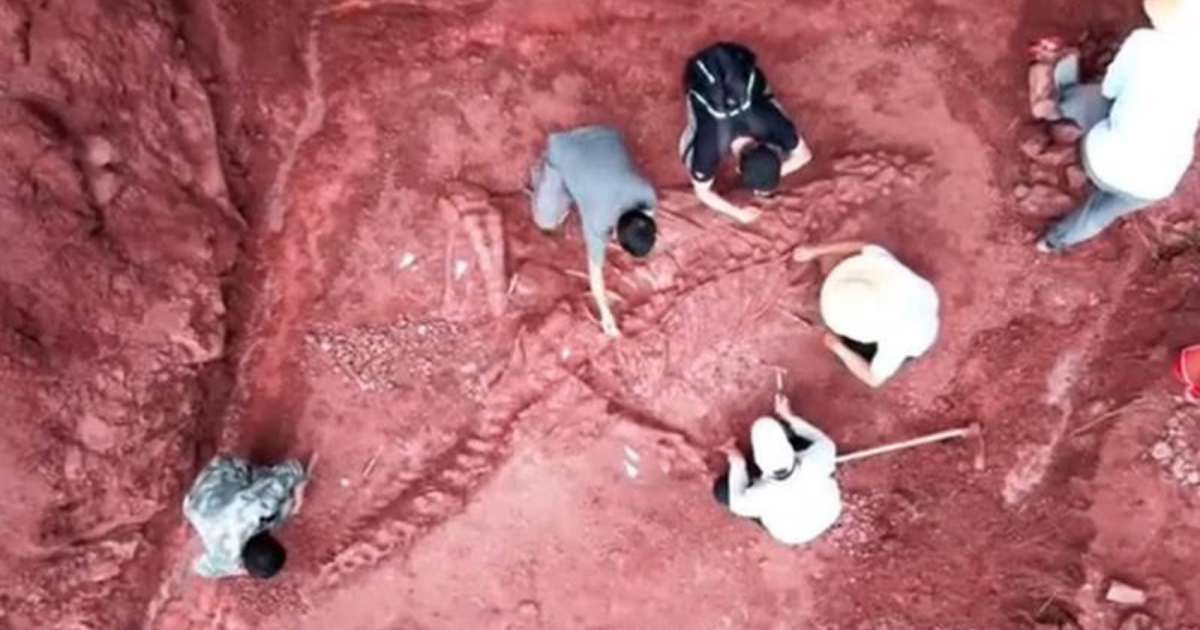Nearly Intact 180 Million Year Old Jurassic Dinosaur Discovered In China