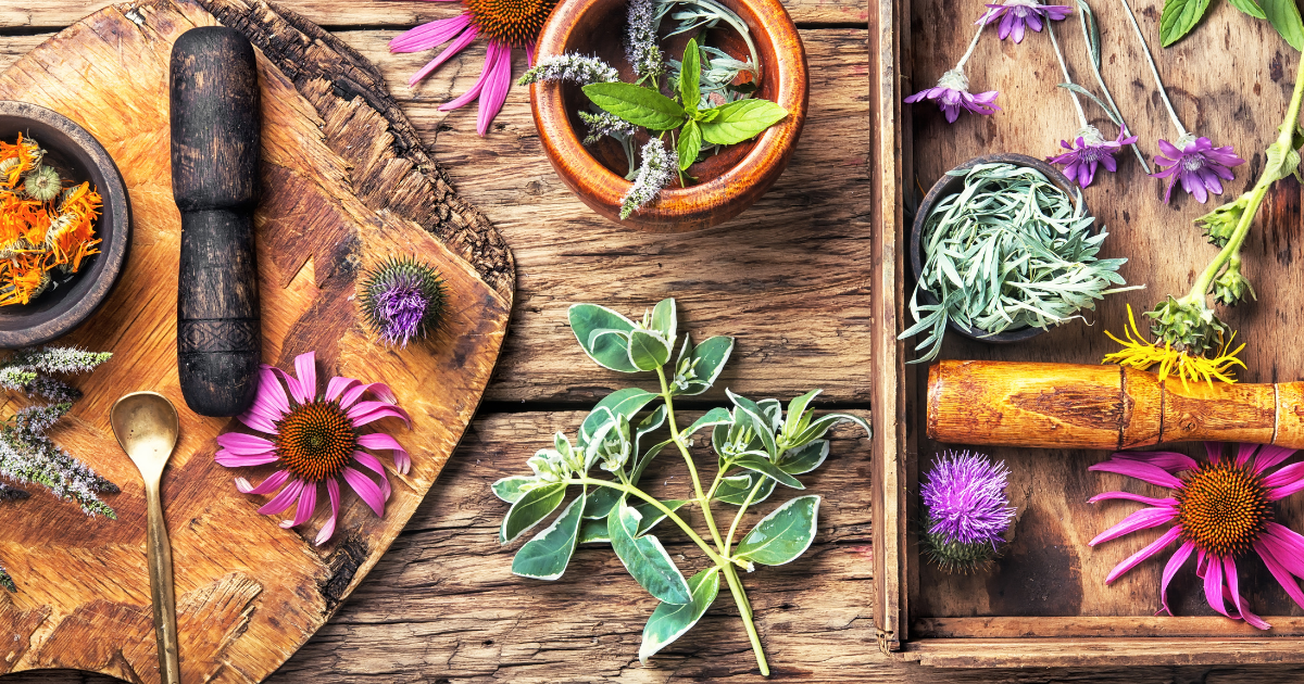 Grow your own pharmacy with medicinal plants