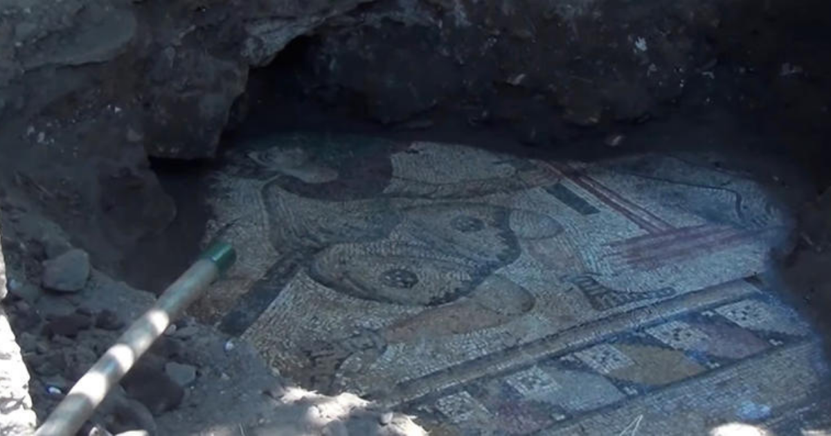 24-Hour guard for ancient mosaic found in house in Turkish village