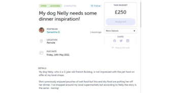 Owners hire chef to create menu for fussy pooch