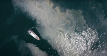 Turkey to combat sea snot by pumping oxygen into sea