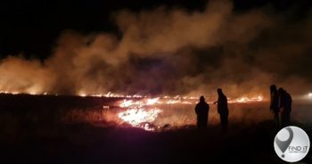 Verwoestende brand - ongeveer 67 000 ha en duisende diere vernietig