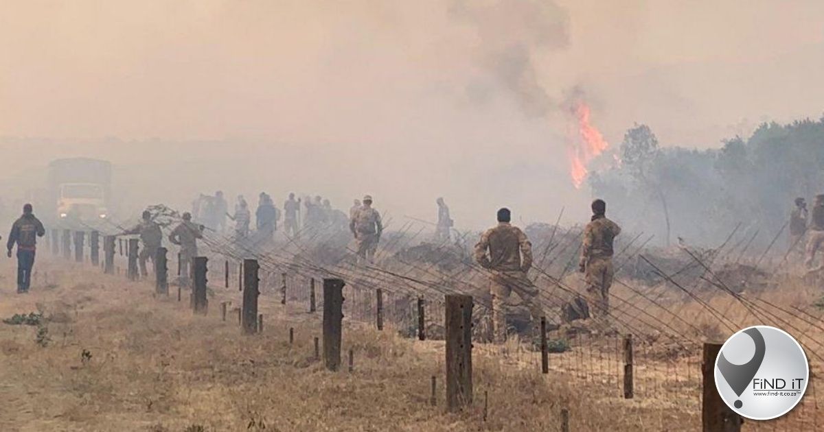 Kenyans sue the British army over fire at wildlife sanctuary