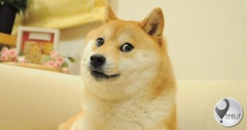 Doge coin spin-off doubles in price after Elon Musk tweet