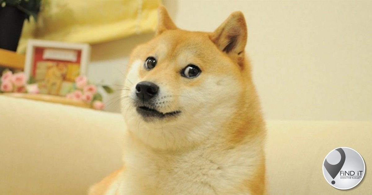 Doge coin spin-off doubles in price after Elon Musk tweet