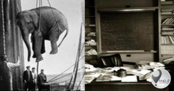 FOTO’S: Historiese oomblikke