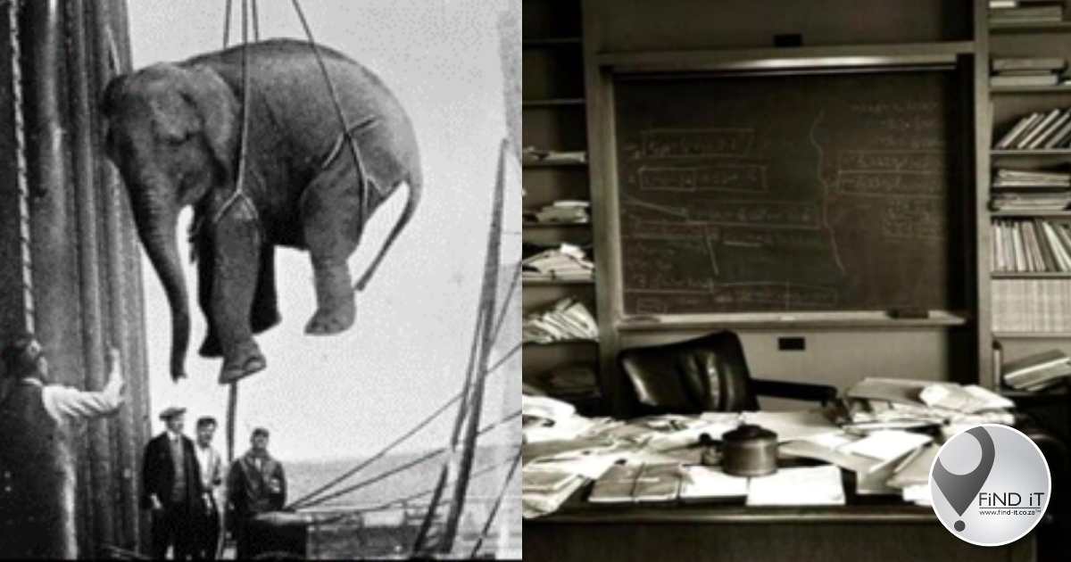 FOTO’S: Historiese oomblikke