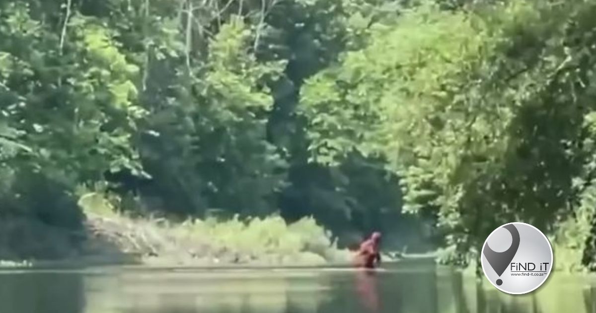 Man beweer hy het "Bigfoot" op video vasgelê