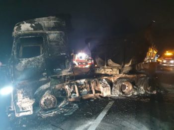 Zuma-optogte: 300 al in hegtenis (Foto: News24)