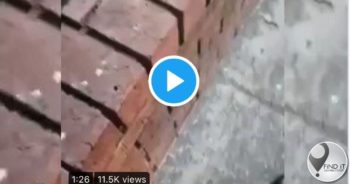 VIDEO: Vyf vas na man in parkeeraera geskop, geslaan word